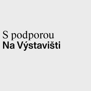Běh-Výstaviště